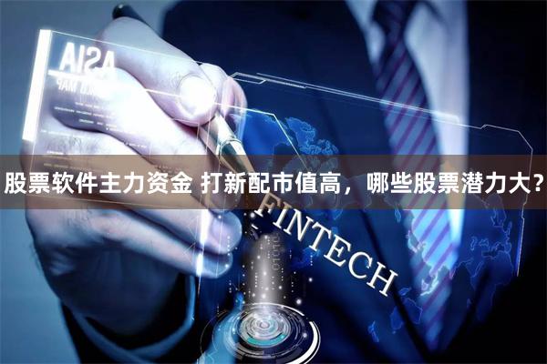 股票软件主力资金 打新配市值高，哪些股票潜力大？