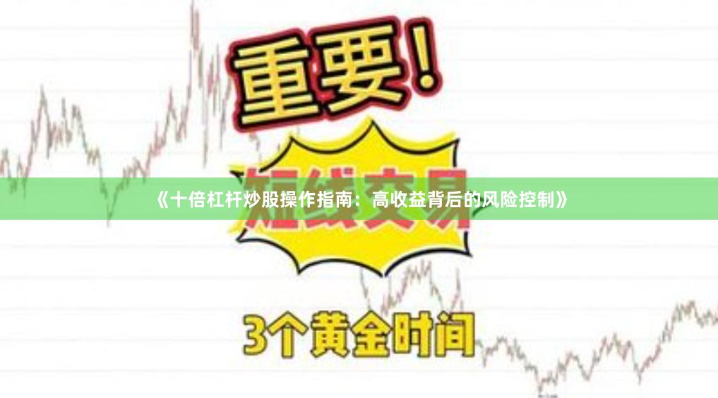 《十倍杠杆炒股操作指南：高收益背后的风险控制》