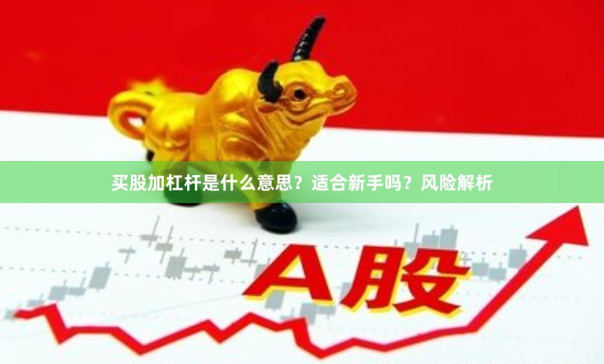 买股加杠杆是什么意思？适合新手吗？风险解析